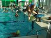 DSCF3461